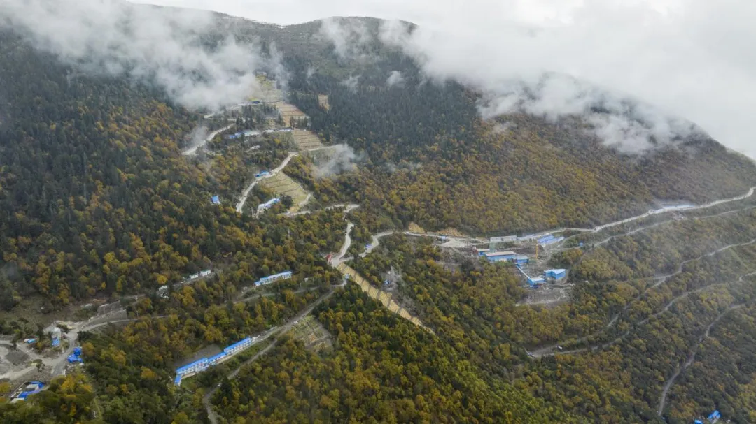 mg不朽情缘(中国区)官方网站