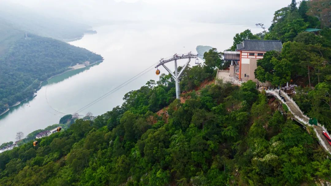 mg不朽情缘(中国区)官方网站